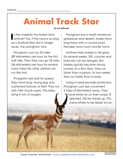 Nonfiction Articles - Animal Track Star Nonfiction Articles - Animal Track Star