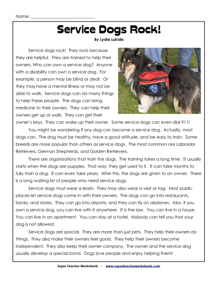 Service Dogs Rock!