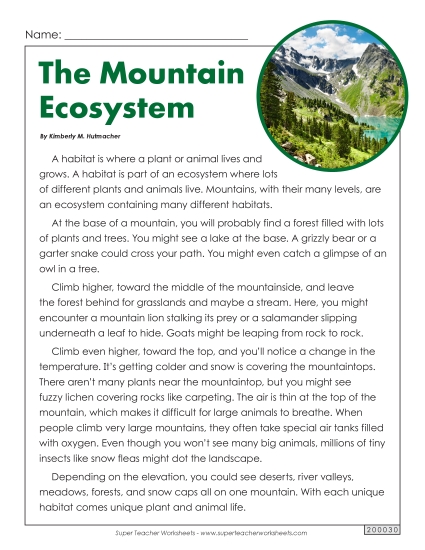 Mountain Ecosystem