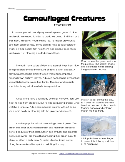 Camouflage